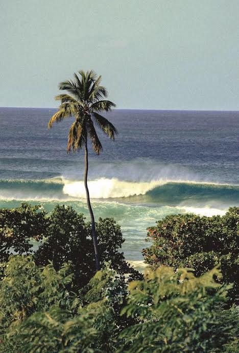 Clases de Surf